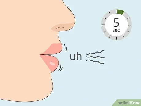 برنامه تمرین آواز
